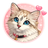 Charlotte the cat