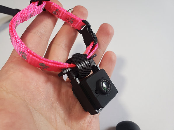 MrPetcam clipped onto a collar, close up