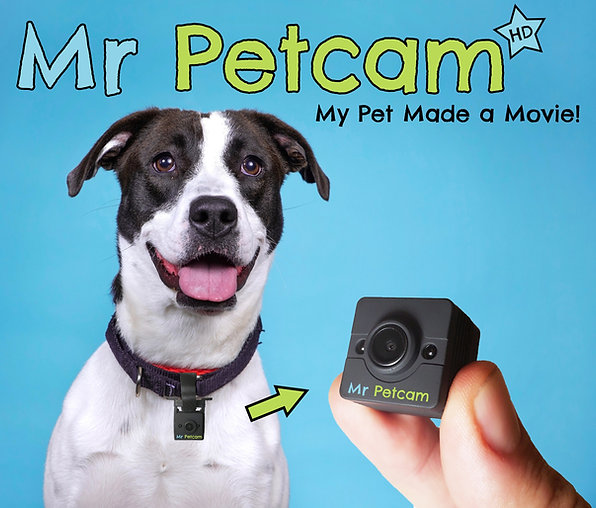 MrPetcam HD collar-mounted POV camera