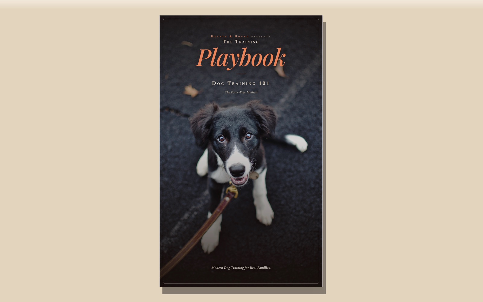 Dog Training 101 book cover