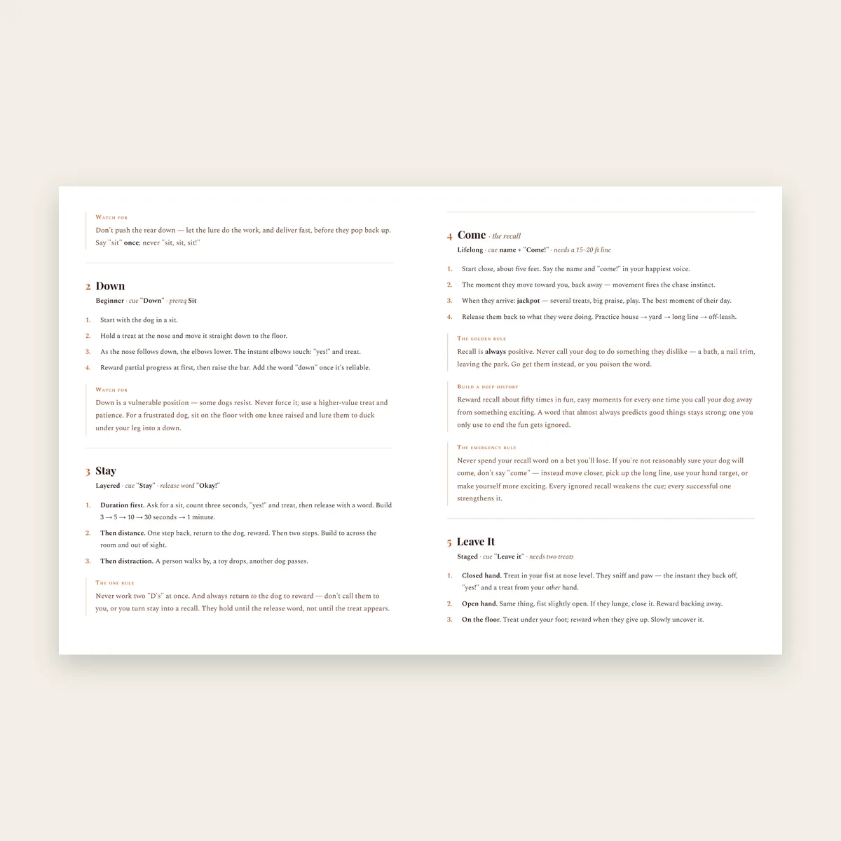 Inside the playbook: step-by-step commands
