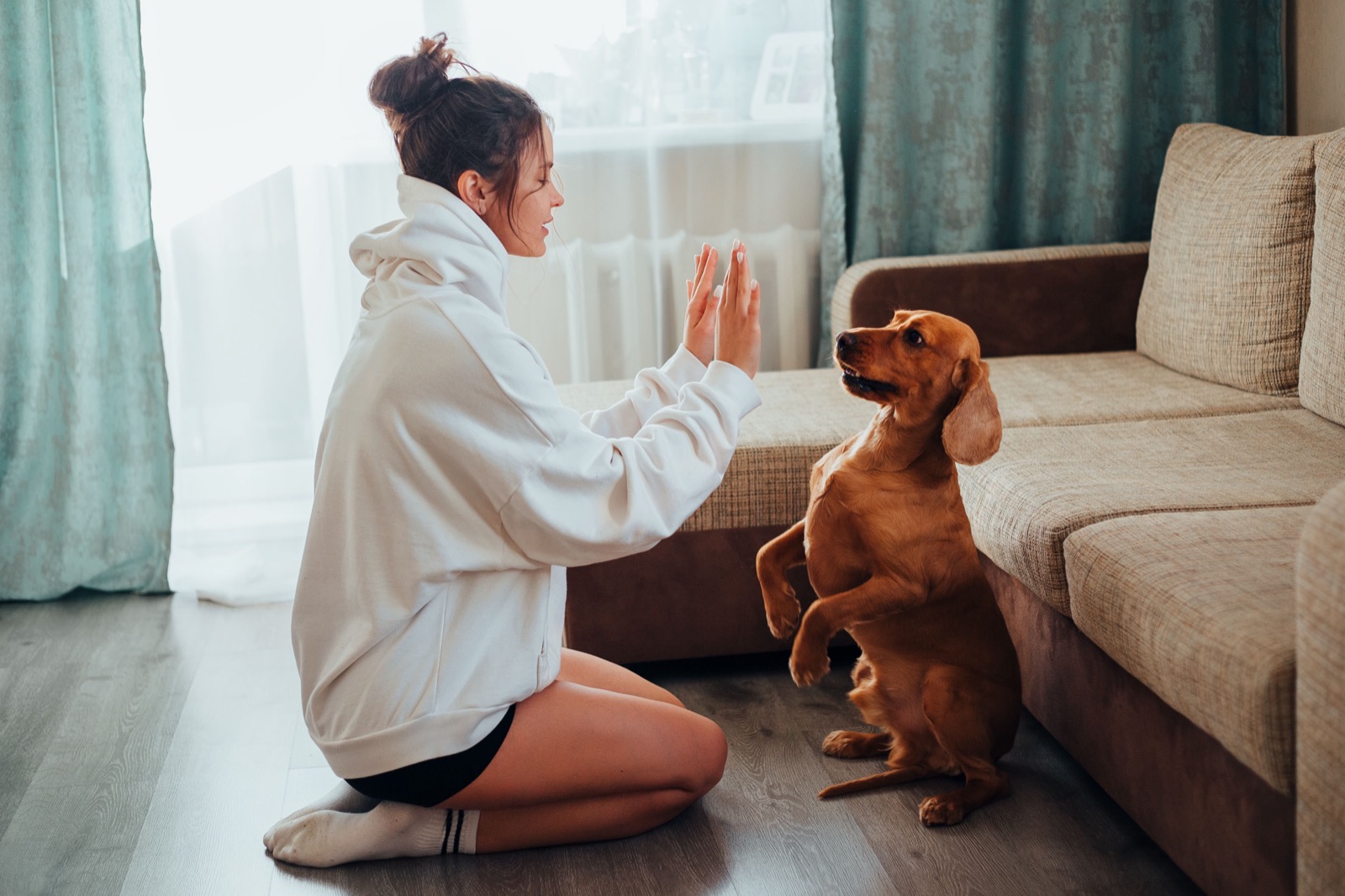 Can Dogs Eat Cheese? Safe Types, Portions & When to Skip